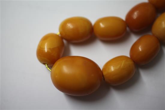 A single strand graduated amber bead necklace, 18.75in.
